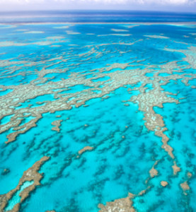 the great barrier reef facts for kids