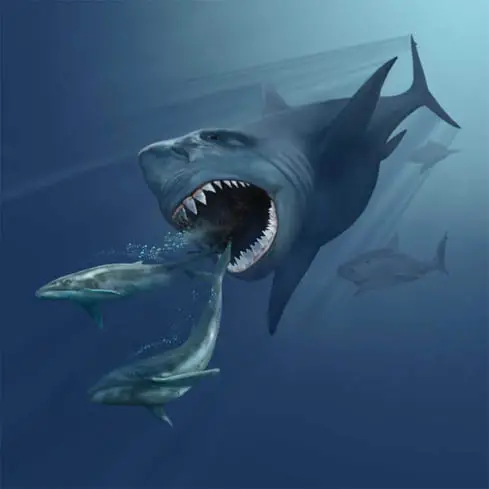 megalodon facts for kids