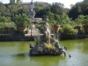adromeda in the isolotto boboli garden